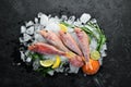 red mullet fish. Sea fish. Seafood on black background. Royalty Free Stock Photo