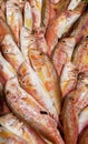 Red mullet fishes Royalty Free Stock Photo