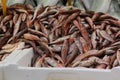 Red mullet fishes on stall to sell