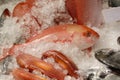 Red mullet on fishmonger's slab Royalty Free Stock Photo