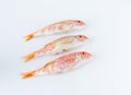 Red mullet on plate on white background. Flat lay.