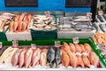 Red mullet, snapper and other fish for sale Royalty Free Stock Photo