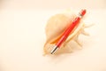 Red multitool pen on sea shell in white background Royalty Free Stock Photo
