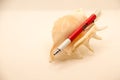 Red multitool pen on sea shell in white background Royalty Free Stock Photo