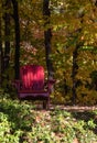 Red Muskoka chair in a beautiful forest clearing.