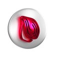 Red Mussel icon isolated on transparent background. Fresh delicious seafood. Silver circle button.