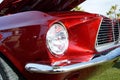 Red Mustang Royalty Free Stock Photo