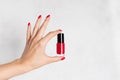 Red nail polish bottle in a well-groomed female hand with red manicure. Royalty Free Stock Photo