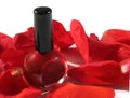 Red nail polish with rose petals Royalty Free Stock Photo