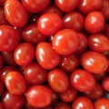 Red natural and shiny cherry tomatoes for healthy eating
