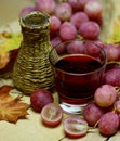 Red natural wine homemade wicker bottle and grapes Royalty Free Stock Photo