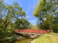 Red nature river bridge wooden walkway path hiking trail forest glen sunshine Royalty Free Stock Photo