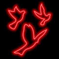 Red neon silhouettes of three birds flying in the sky on black. Freedom, flight, upward movement