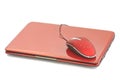 Red netbook Royalty Free Stock Photo
