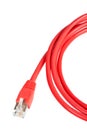 Red network cable Royalty Free Stock Photo