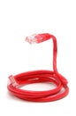 Red network cable Royalty Free Stock Photo