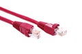 Red network cable Royalty Free Stock Photo