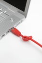 Red network cable with knot Royalty Free Stock Photo