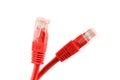 Red network cables, close up Royalty Free Stock Photo