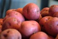 Red new potatoes against blue gray background