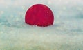 A red New Year`s ball lies on the sparkling snow outdoors on a frosty winter day, tinted photo. Space for text. Christmas, festive Royalty Free Stock Photo