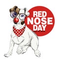 Red nose day poster. Vector hand drawn dog portrait. Jack Russel terrier wearing glasses, clown nose and bandana