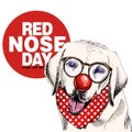 Red nose day poster. Vector hand drawn dog portrait. Labrador retrier wearing glasses, clown nose and bandana. American