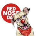 Red nose day poster. Vector hand drawn dog portrait. pit bull terrier wearing glasses, clown nose and bandana. American