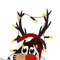 Christmas time with Reindeer Rudolf.