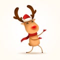 The red-nosed reindeer greets. Isolated Royalty Free Stock Photo