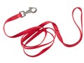 Red nylon dog lead or leash isolated over white Royalty Free Stock Photo
