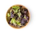 Red oak lettuce in wood bowl on white background Royalty Free Stock Photo