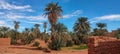 The red oasis Timimoun in Algeria Royalty Free Stock Photo