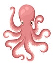 Red octopus cartoon character. Cute octopus flat isolated on white background. Aquatic fauna. Octopus icon. Animal illustra Royalty Free Stock Photo