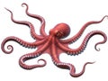 Red octopus isolated on white background Royalty Free Stock Photo