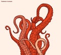 Red octopus tentacles reaching upwards. Squid-like marine animal.