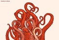 Red octopus tentacles reaching upwards. Squid-like marine animal.