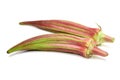 Red okra Royalty Free Stock Photo