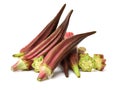 Red Okra Royalty Free Stock Photo