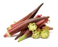 Red Okra Royalty Free Stock Photo