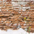 Red old brick wall as background