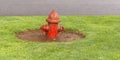 Red old shabby fire hydrant on a lawn Royalty Free Stock Photo