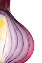 Red onion Royalty Free Stock Photo