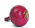 Red onion Royalty Free Stock Photo