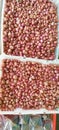 Red onion or bawang merah Royalty Free Stock Photo