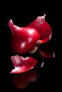 Red onion on black. Royalty Free Stock Photo