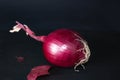 Red onion in black background