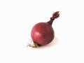 Red onion