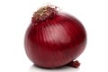 Red onion bulb isolated Royalty Free Stock Photo