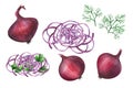 Red onion bulb and sliced rings, picturesque watercolor hand drawn illustration